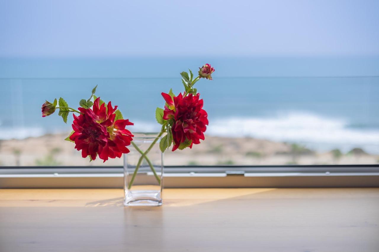 Fidalsa Paradise Sea Punta Prima 또레비에하 외부 사진